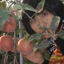 산이농원 이미지