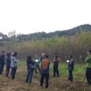 새만금농장 이미지