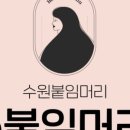 e붙임머리