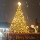 3D필드로 | 난아직만열아홉어린이인데너무성숙을바라네나한테.