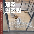 어린이 소리극 <말하는 원숭이> | 제주 서쪽 가볼만한곳 설날 가족여행 화조원
