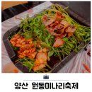 원동1공원 | 양산 원동미나리축제 삼겹살 봄축제 후기 경남 3월 가볼만한곳