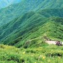 가다오다 이미지