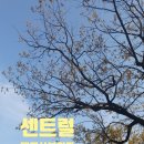 센트럴대구산부인과의원 이미지