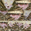 헬로,안양위드러브 이미지