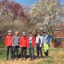 (주)오벨로
