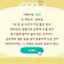 광장장식
