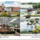 양사초교 이미지