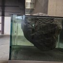 아모레퍼시픽 미술관, 피에르위그 展 리미널, 경주국립박물관-25. 5,6月