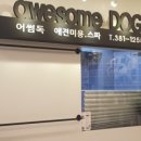 뿌리세움치과의원 네이버블로그