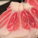 The참치 이미지