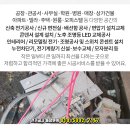 영신전기조명 - 수원시 장안구 수성로275번길 85 | 영신전기조명
