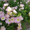 오봉경로당 이미지