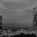 금천셀프주유소 이미지