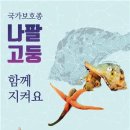 나팔횟집 이미지