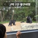 (주)뚜레쥬르포항중앙점 | 아기랑 대전여행 코스 추천 오월드 성심당 국립중앙과학관