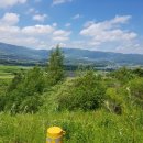 만대편의점 이미지