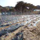 지남농장 이미지