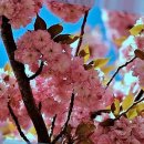 중앙전자 | 노키즈존으로 조용하고 편안한 쇼핑 환경, 제로전자담배 안산중앙점 방문 후기!