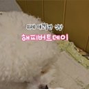 해피버트데이 이미지