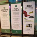 [가평카페] 가평아이와가볼만한곳/ 대형 수족관 카페/가평 아쿠아가든 갔다 온 후기!!