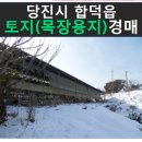 대전리목장 이미지