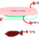 쏘앵이의 아이디어~ 이미지