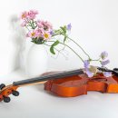 바이올린 첫 걸음 이미지