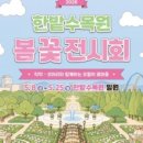 평일식당 네이버블로그