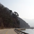 가수교 티스토리