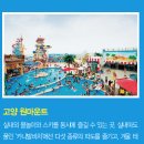 중원 이미지