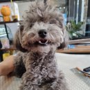 오도독뽀도독 이미지