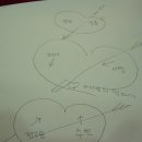 짝때기2 Daum카페