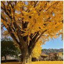 하점면-1 | 강화도 하점면 당일치기 가족여행코스 BEST 4ㅣ 실내 박물관부터 현지인 추천 카페까지