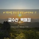 [250430-0501] 금수산 손바닥바위 백패킹 [백패킹챌린지 54/100]