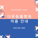 광주다온동물병원 이미지