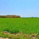 푸른메디칼 이미지