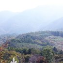 평원목장 이미지