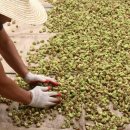 충영농장 이미지