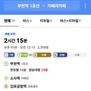 가혜리.라데아.리틀파올로 3곳 이미지