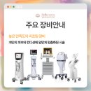 안티영어교육 이미지