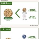 파로 이미지