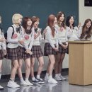 모모 이미지