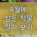 8월에 심는 작물 18가지 알아보기 이미지