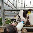 한빛 목장 이미지