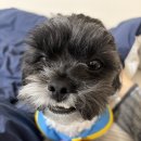 (주)라온부동산중개법인 이미지