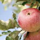 토지농장 이미지