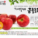 금풍농원