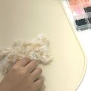 청주 키캡 꾸미기, 모루 인형 공방 | 원데이 클래스 체험 후기