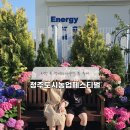 청주시농업기술센터 | 청주시도시농업페스티벌 아이랑 체험 유채꽃밭 포토존